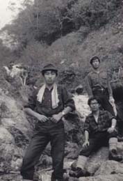 �k�x��r�����ւ̏��