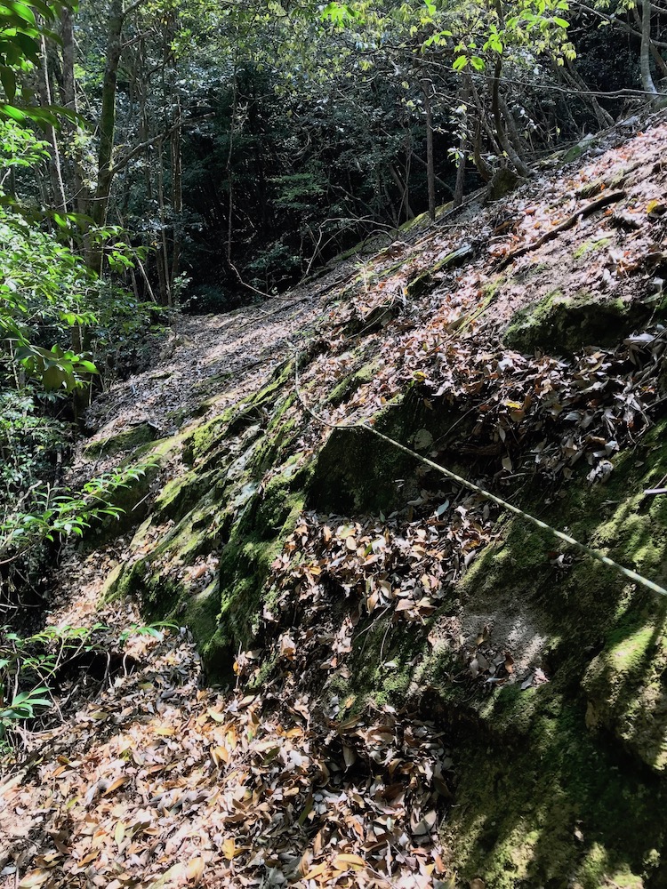 大岩トラバース 20200429