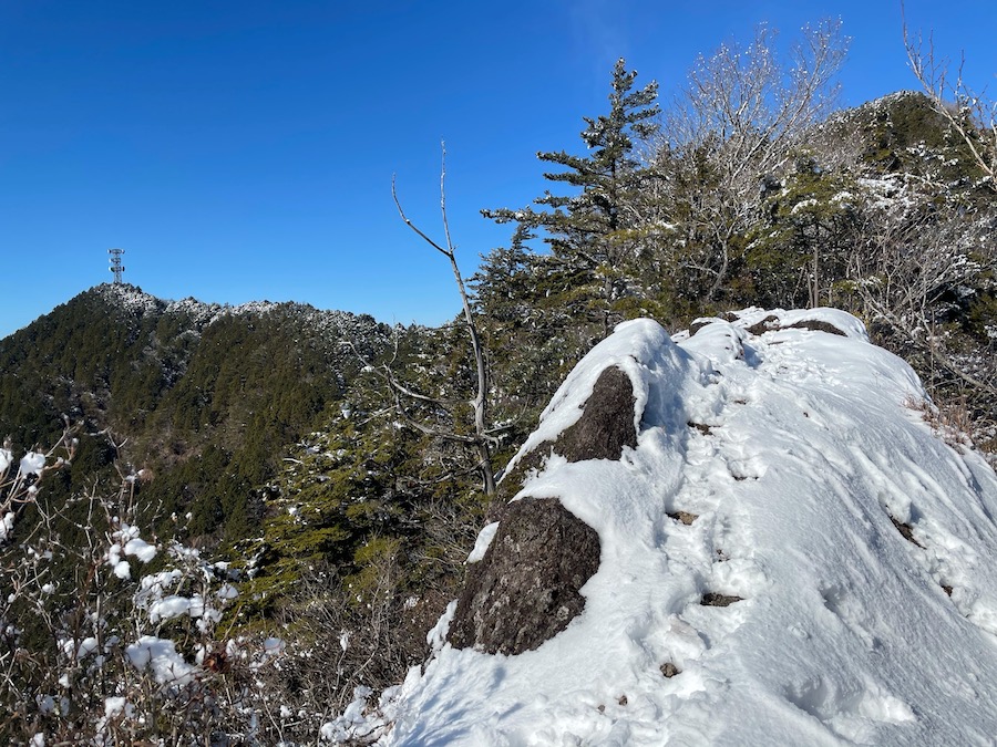 �n�̔w�₩��